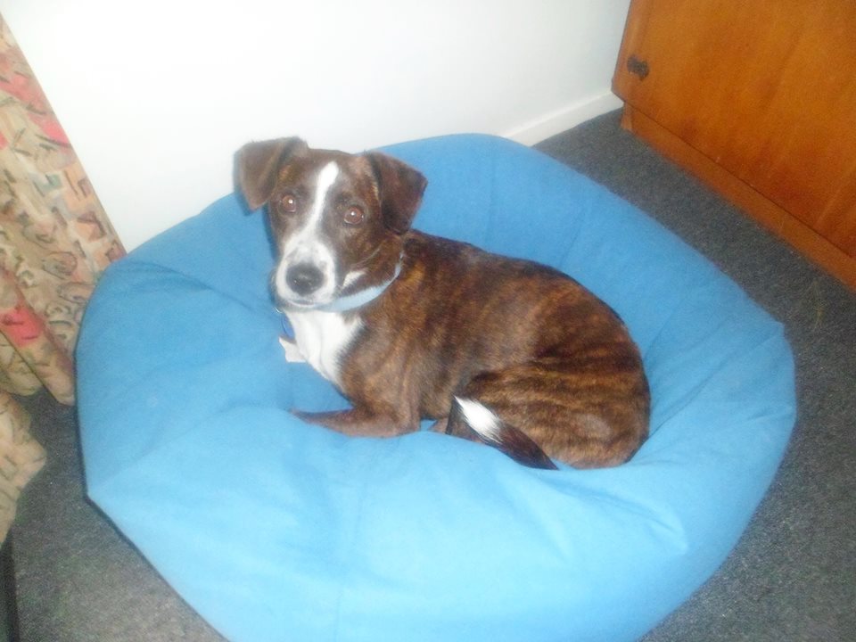 Name:  Rooney.jpg
Views: 481
Size:  83.4 KB