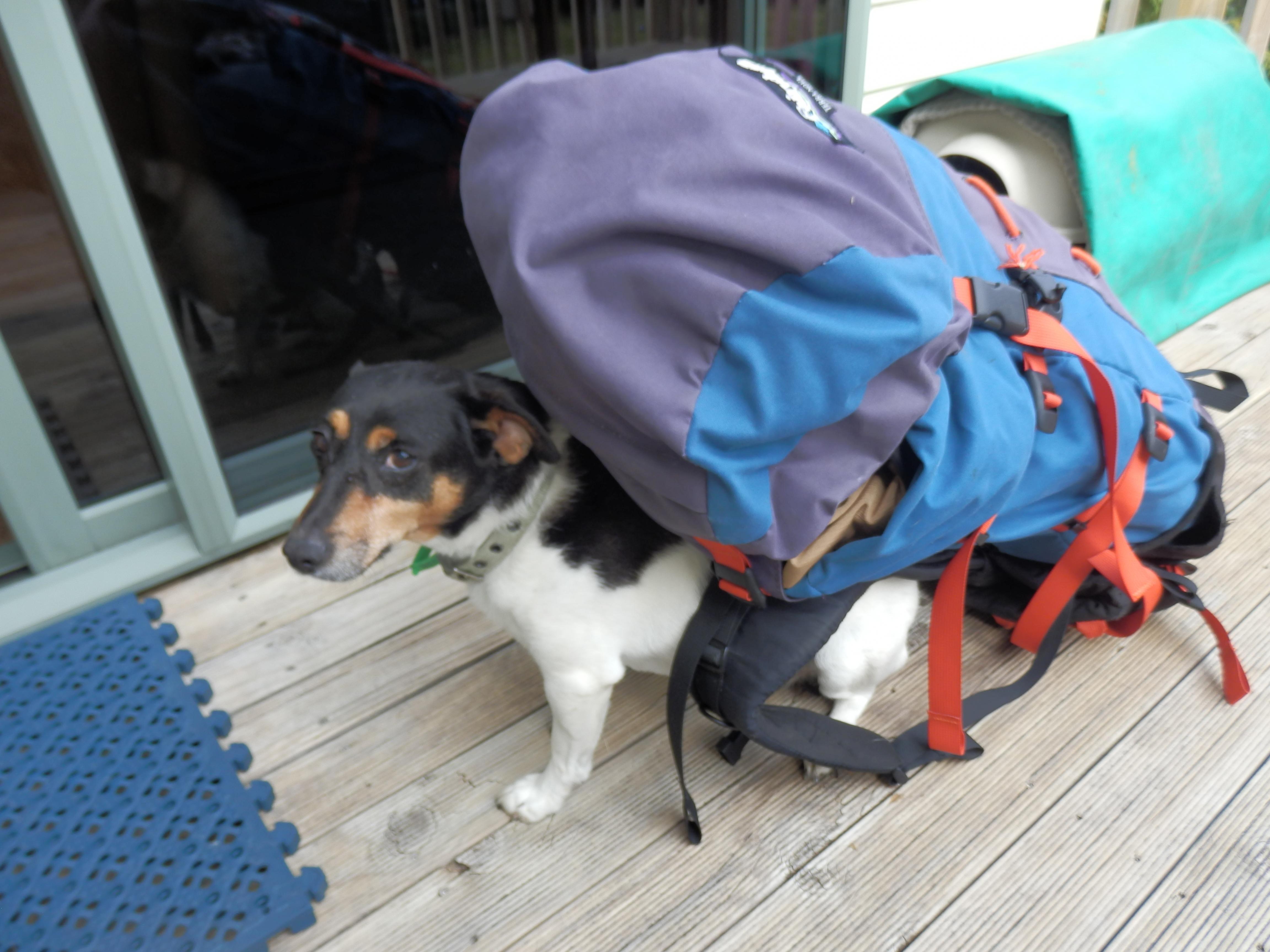 Name:  P2263218.jpg
Views: 2305
Size:  834.3 KB