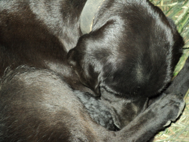 Name:  picture 617.jpg
Views: 304
Size:  163.7 KB