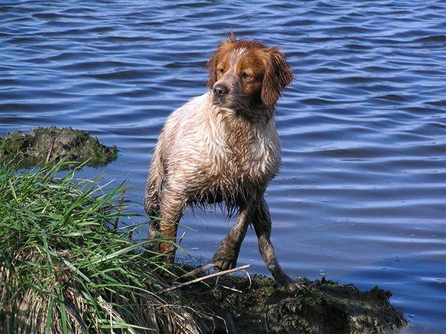Name:  katie2.jpg
Views: 329
Size:  76.1 KB