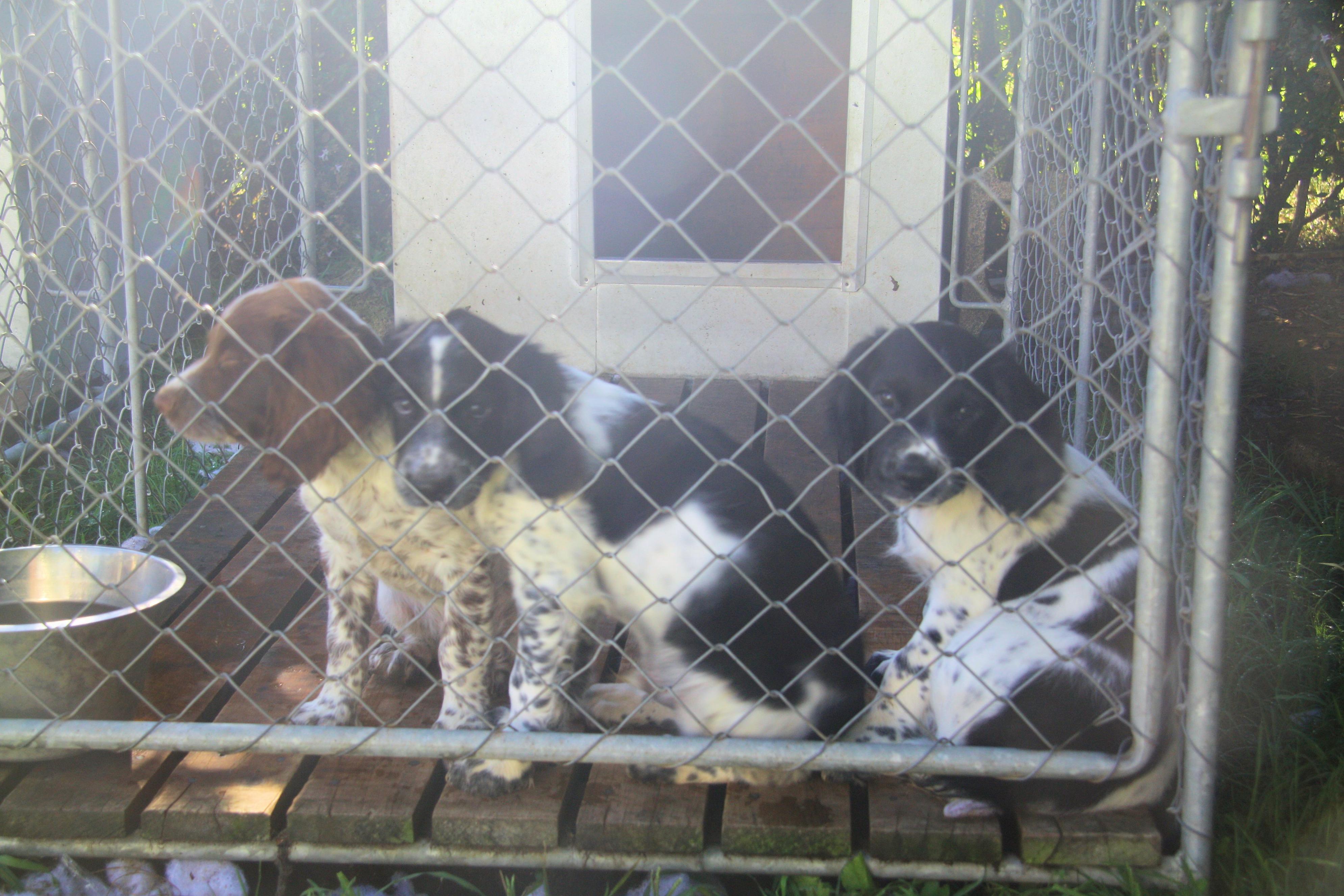 Name:  IMG_0012.jpg
Views: 451
Size:  916.0 KB