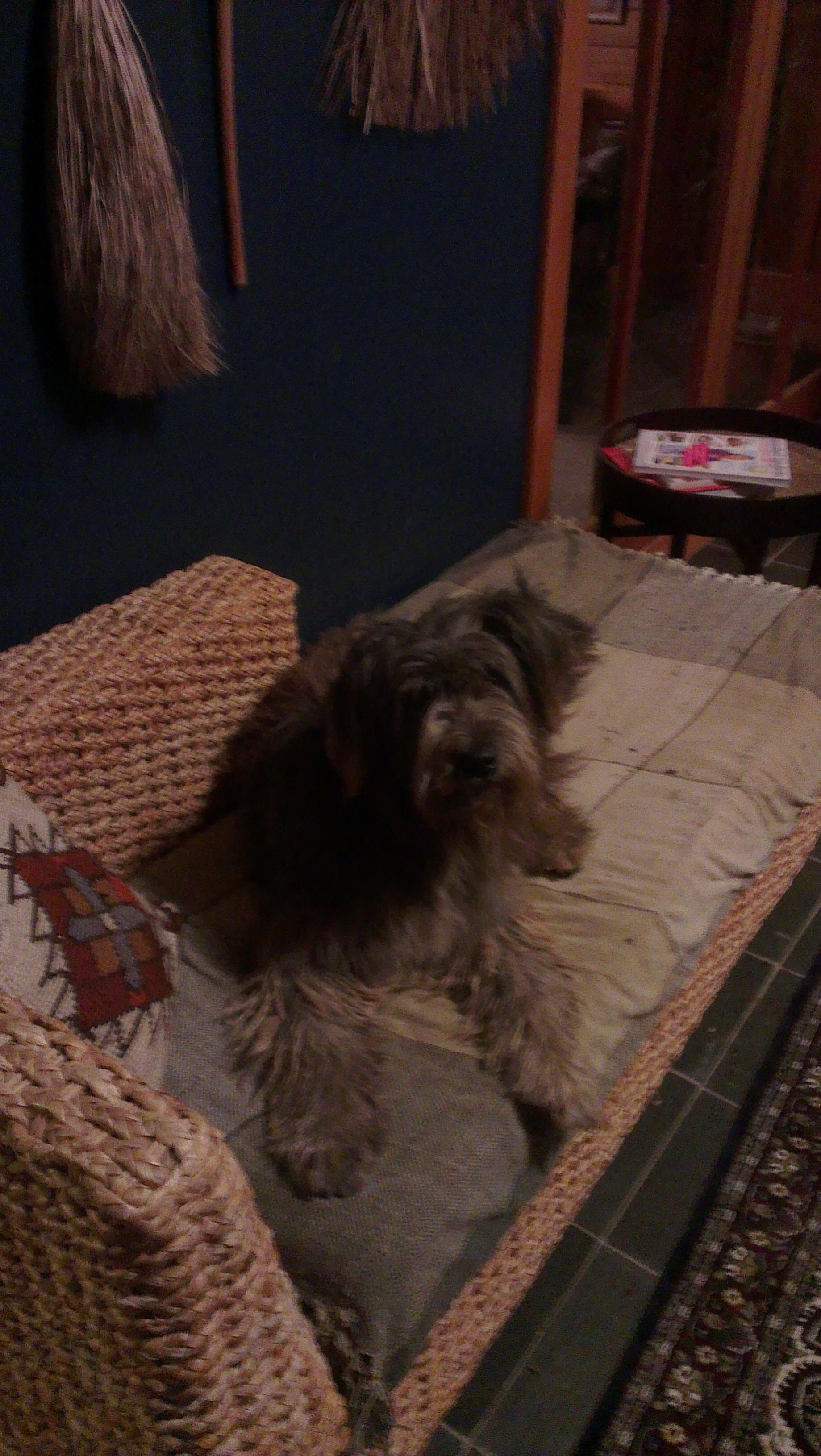 Name:  IMAG0125.jpg
Views: 430
Size:  664.3 KB