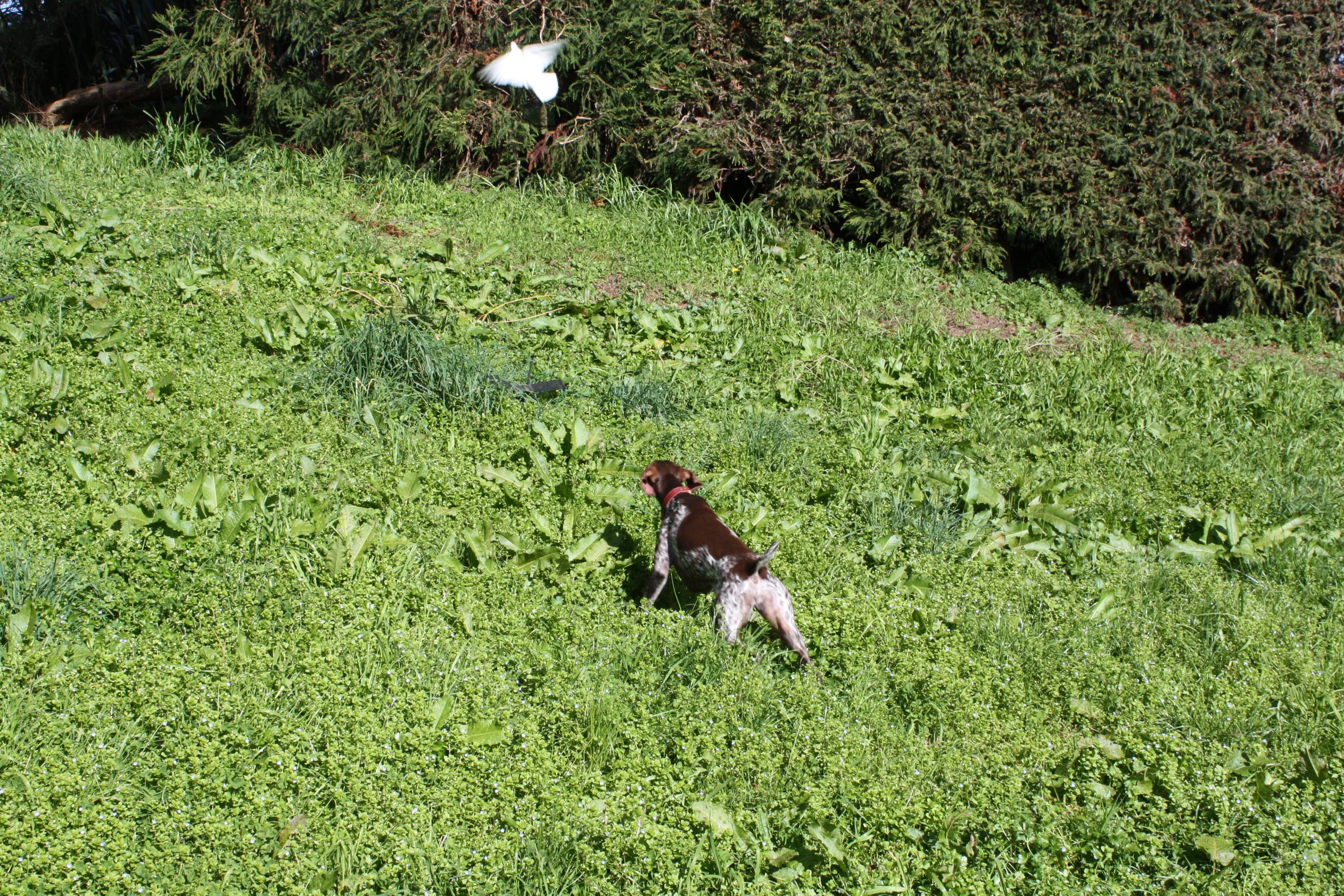 Name:  IMG_0866.jpg
Views: 440
Size:  1.21 MB