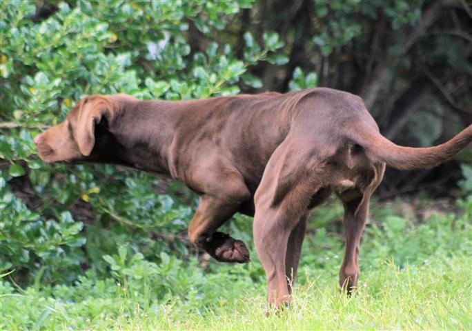 Name:  ava.jpg
Views: 413
Size:  91.8 KB