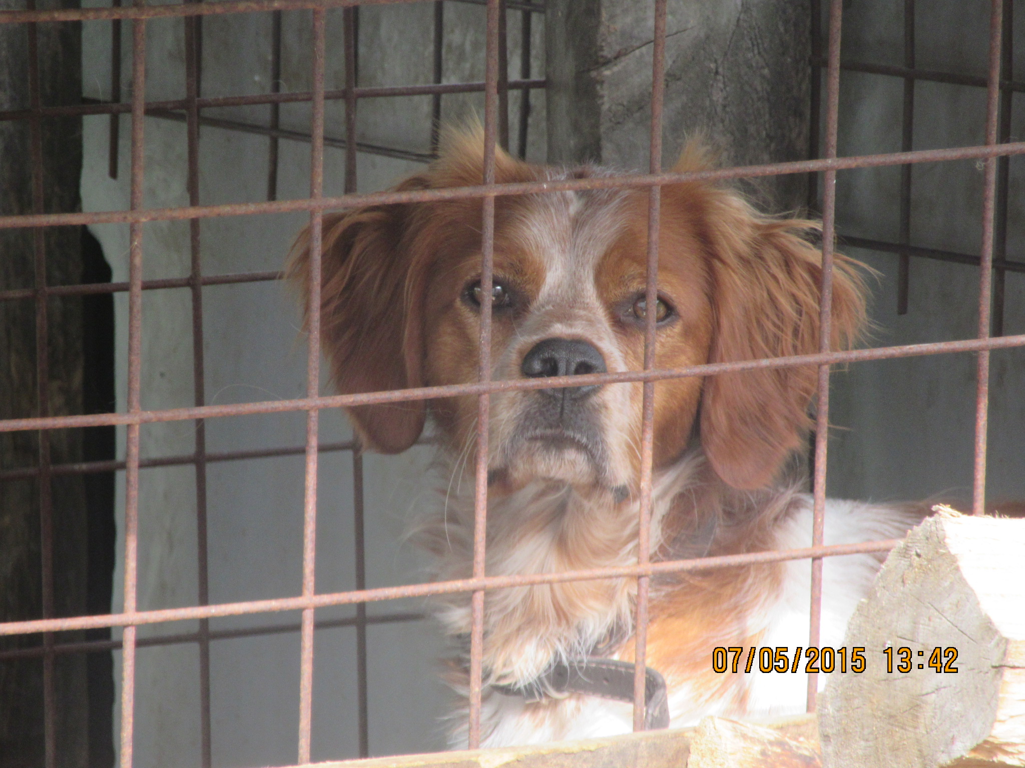 Name:  jarlou8.5.jpg
Views: 351
Size:  818.1 KB
