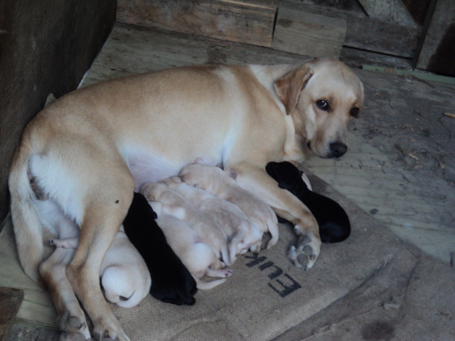 Name:  picture 8326.jpg
Views: 388
Size:  165.2 KB