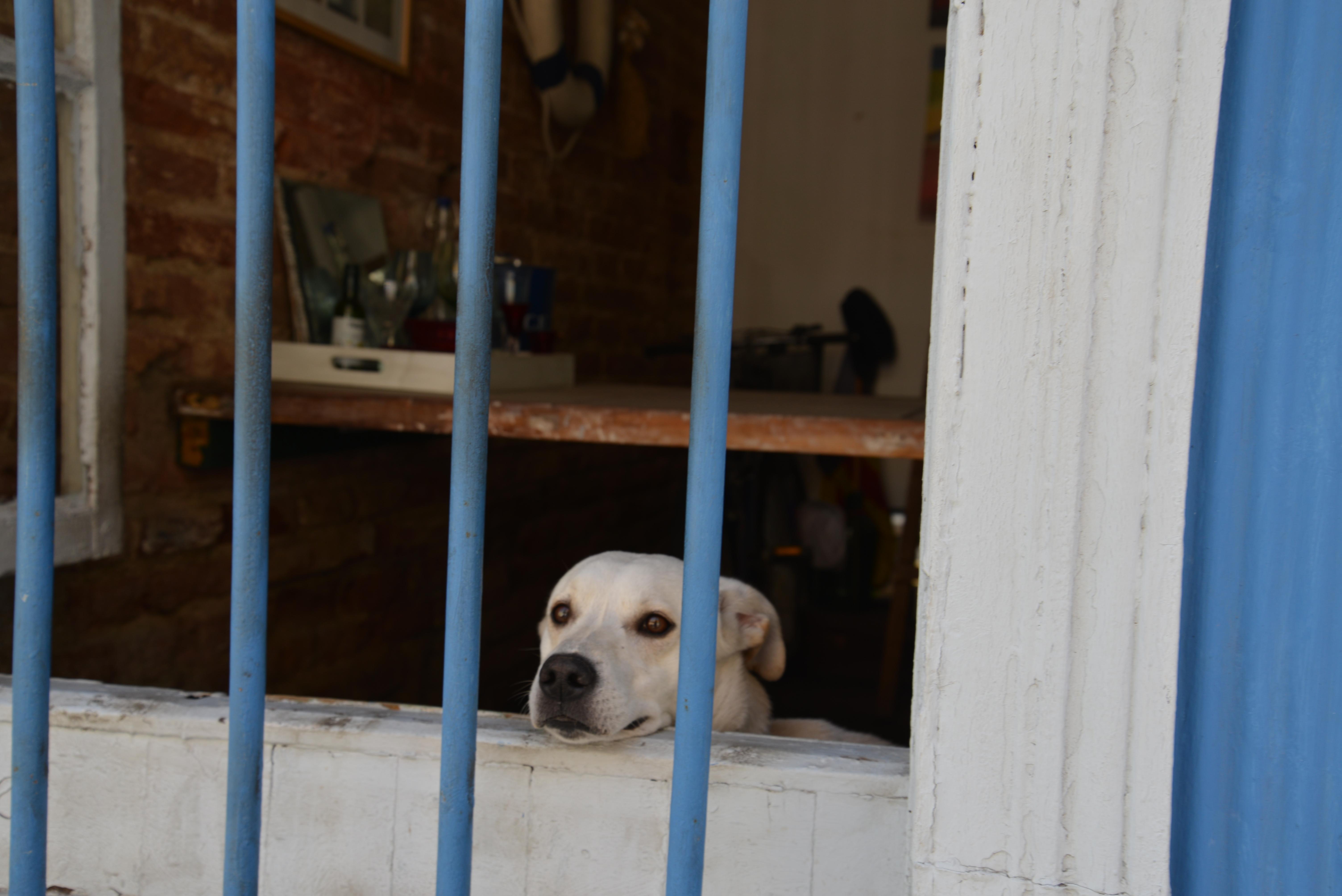 Name:  DSC_3972.jpg
Views: 436
Size:  817.9 KB