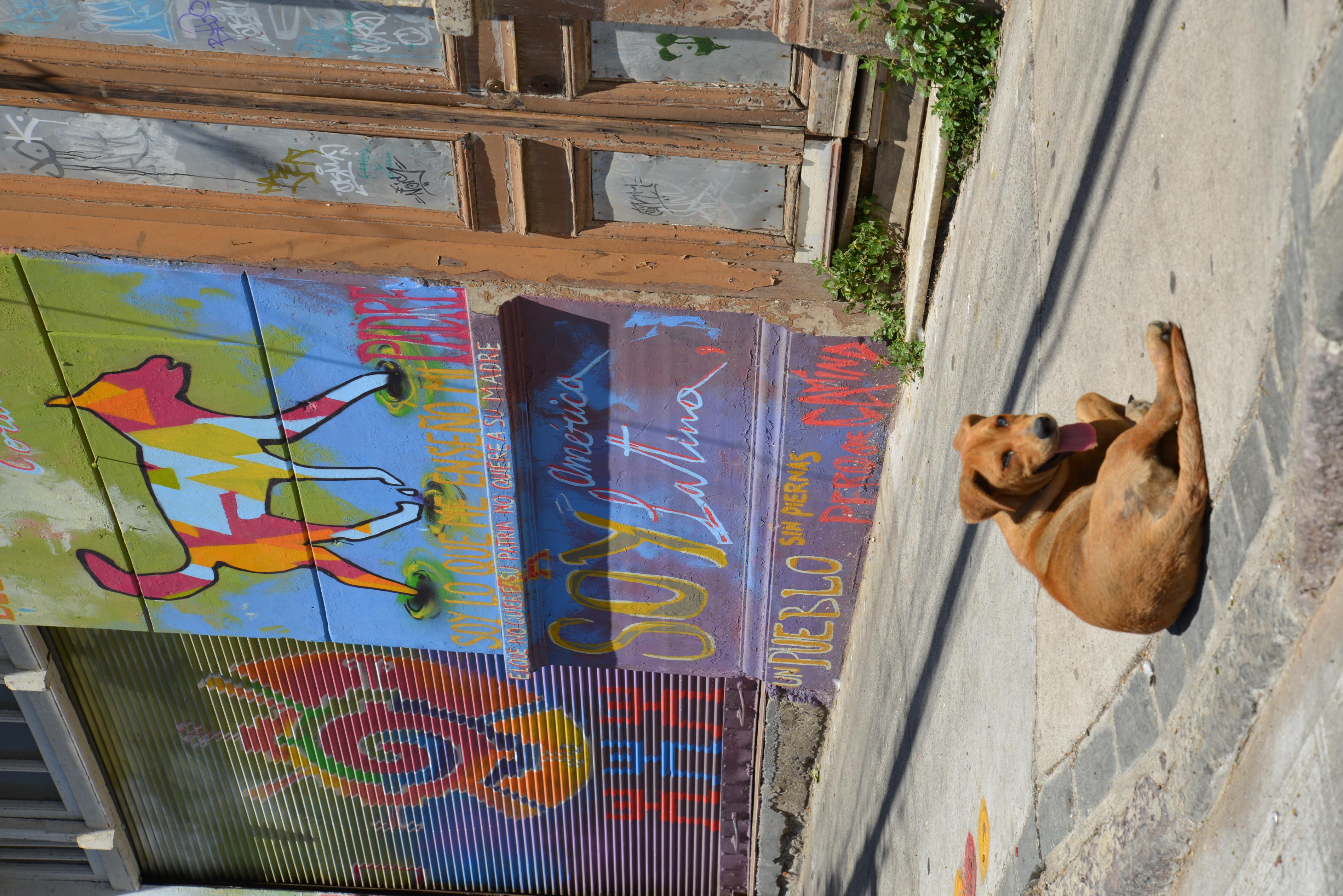 Name:  DSC_4013.jpg
Views: 465
Size:  1.19 MB