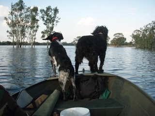 Name:  robbieinboat.jpg
Views: 481
Size:  58.3 KB