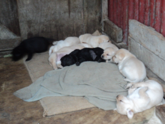 Name:  picture 8414.jpg
Views: 364
Size:  163.5 KB