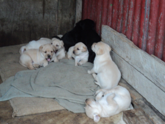 Name:  picture 8415.jpg
Views: 362
Size:  160.6 KB
