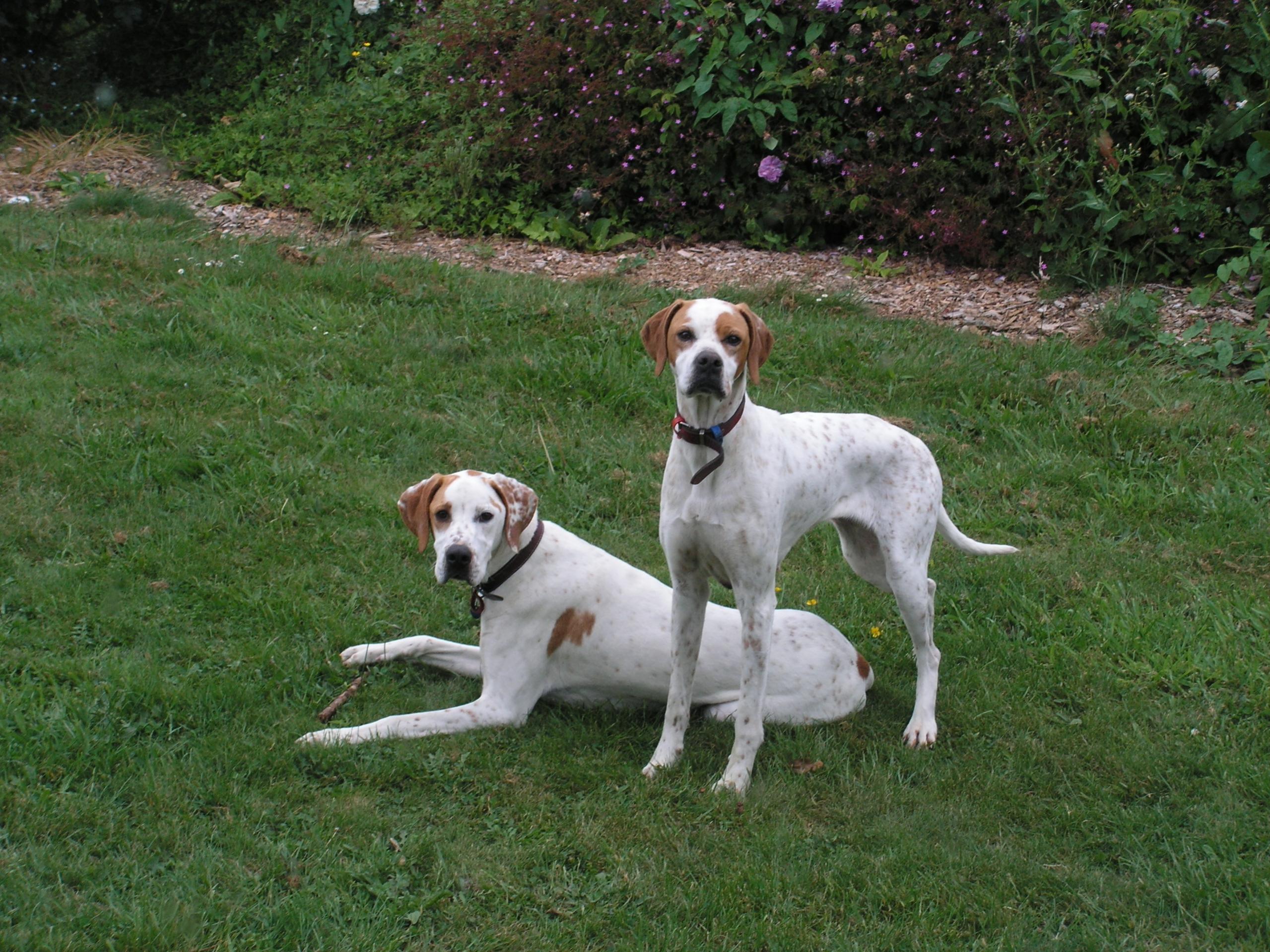 Name:  Quinn and Jess.jpg
Views: 399
Size:  732.2 KB