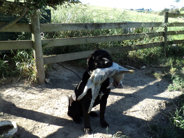 Name:  picture 080.jpg
Views: 585
Size:  164.7 KB