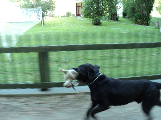 Name:  picture 073.jpg
Views: 559
Size:  163.0 KB