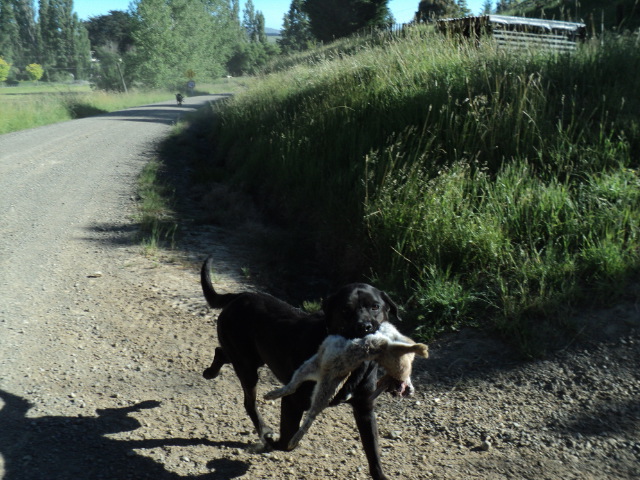 Name:  picture 074.jpg
Views: 568
Size:  162.6 KB