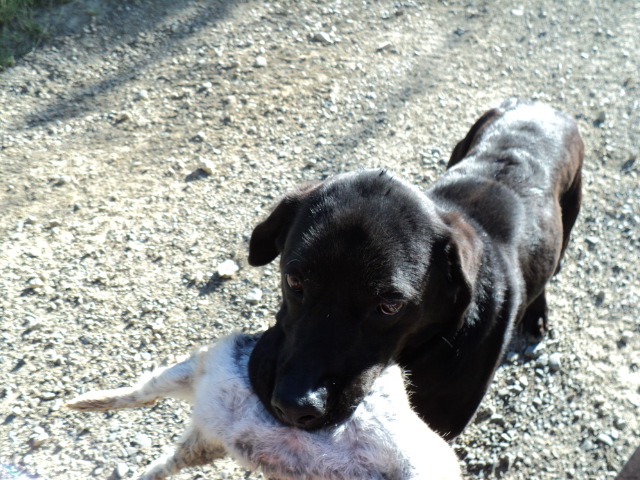 Name:  picture 075.jpg
Views: 631
Size:  163.7 KB