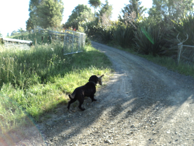 Name:  picture 076.jpg
Views: 558
Size:  163.2 KB