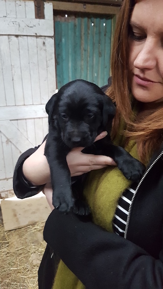 Name:  Katewithdog.jpg
Views: 474
Size:  80.8 KB