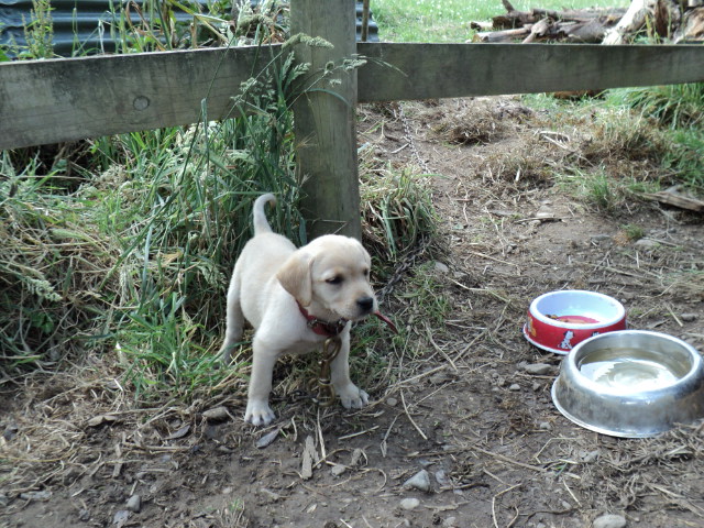 Name:  picture 831.jpg
Views: 186
Size:  165.0 KB