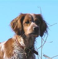 Name:  dioneehead.JPG
Views: 359
Size:  7.4 KB