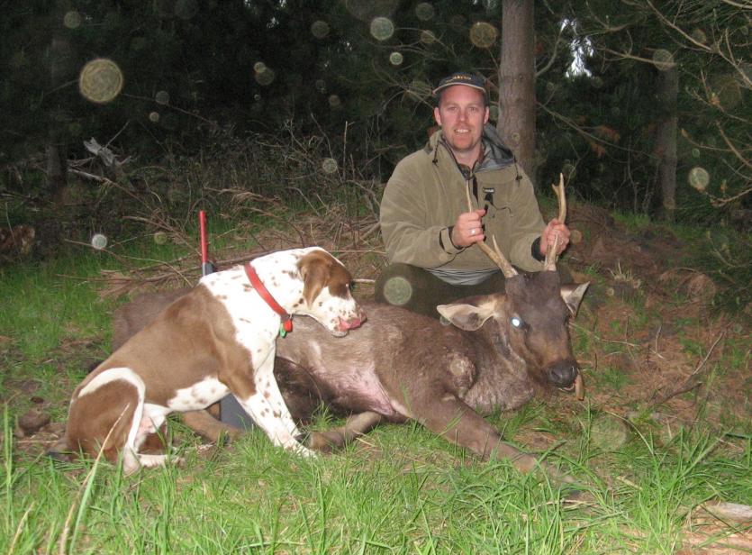 Name:  Sambar Hunt October 06-6.jpg
Views: 1016
Size:  97.6 KB