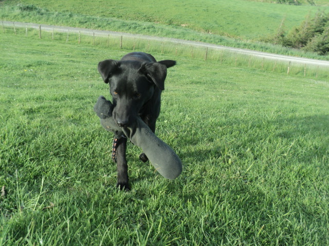 Name:  picture 9270.jpg
Views: 551
Size:  164.2 KB