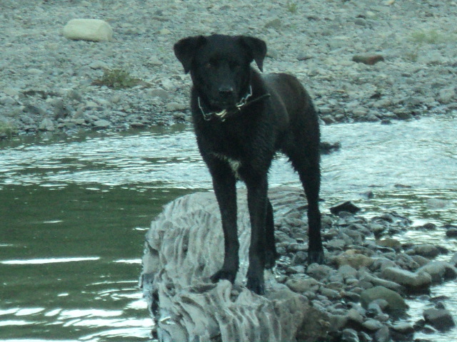 Name:  picture 9590.jpg
Views: 506
Size:  165.0 KB