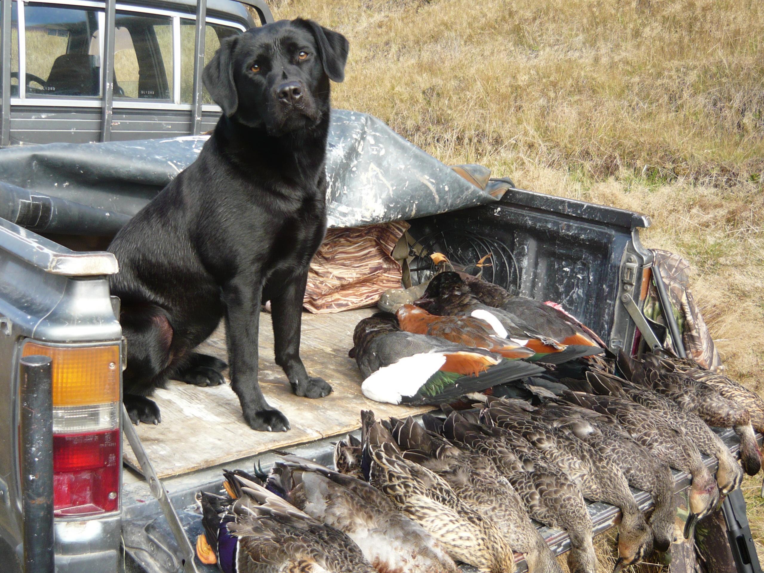 Name:  2012 shooting 035.jpg
Views: 483
Size:  776.6 KB