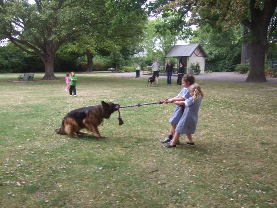 Name:  Stanley and two little girls tug of war.jpg
Views: 527
Size:  129.0 KB