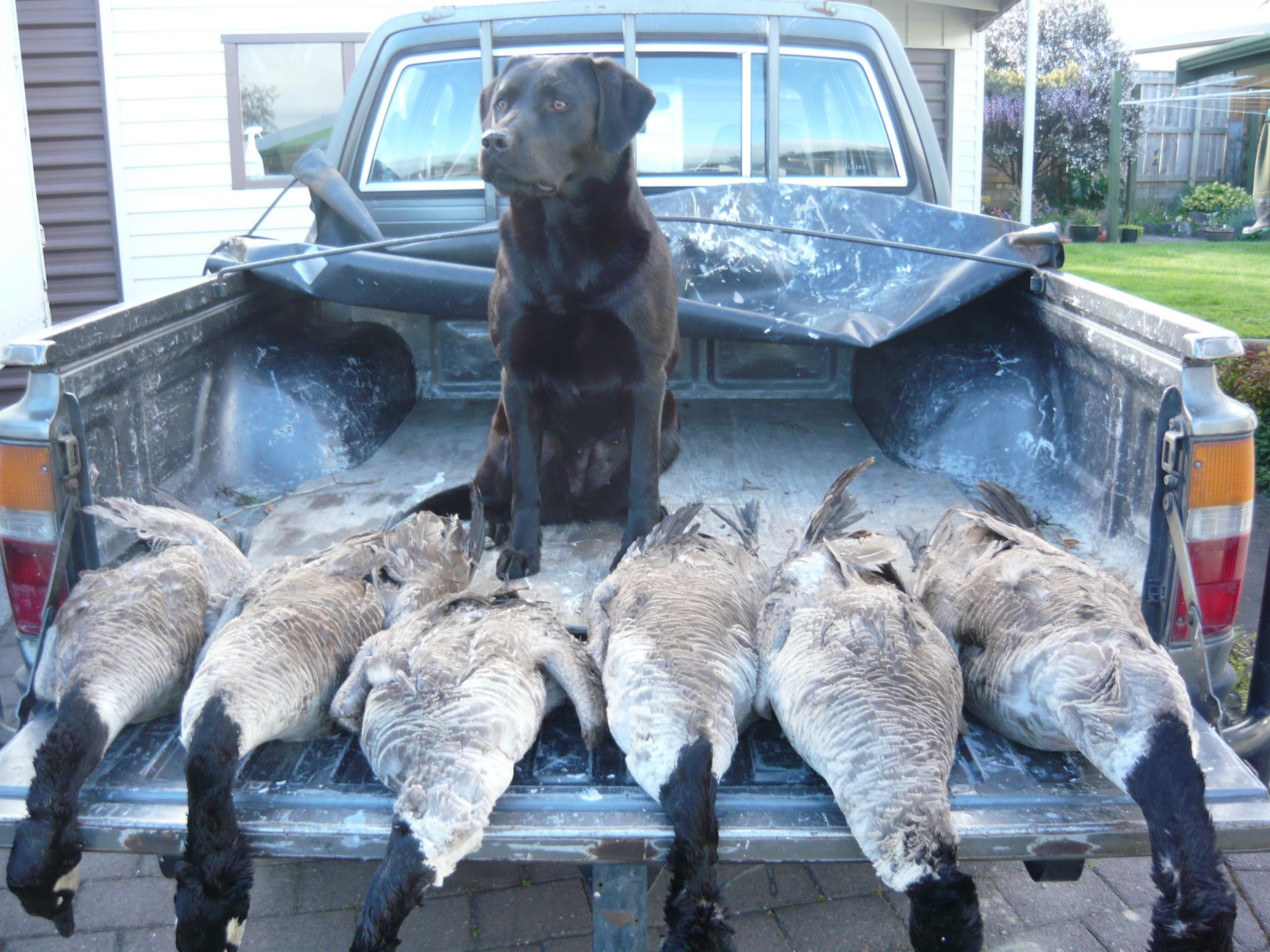 Name:  2012 shooting 016.jpg
Views: 473
Size:  571.9 KB