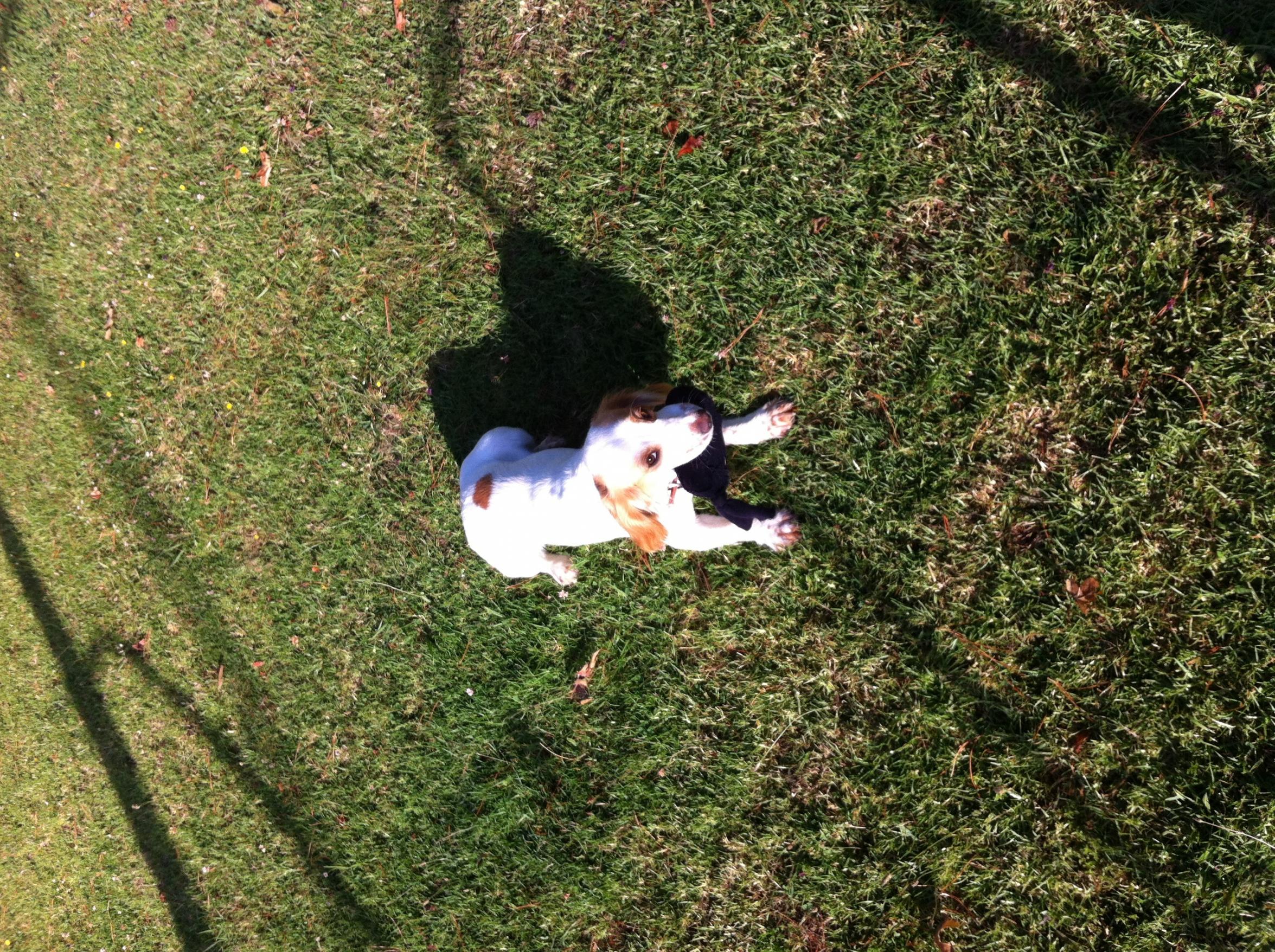 Name:  image.jpg
Views: 436
Size:  1,016.9 KB