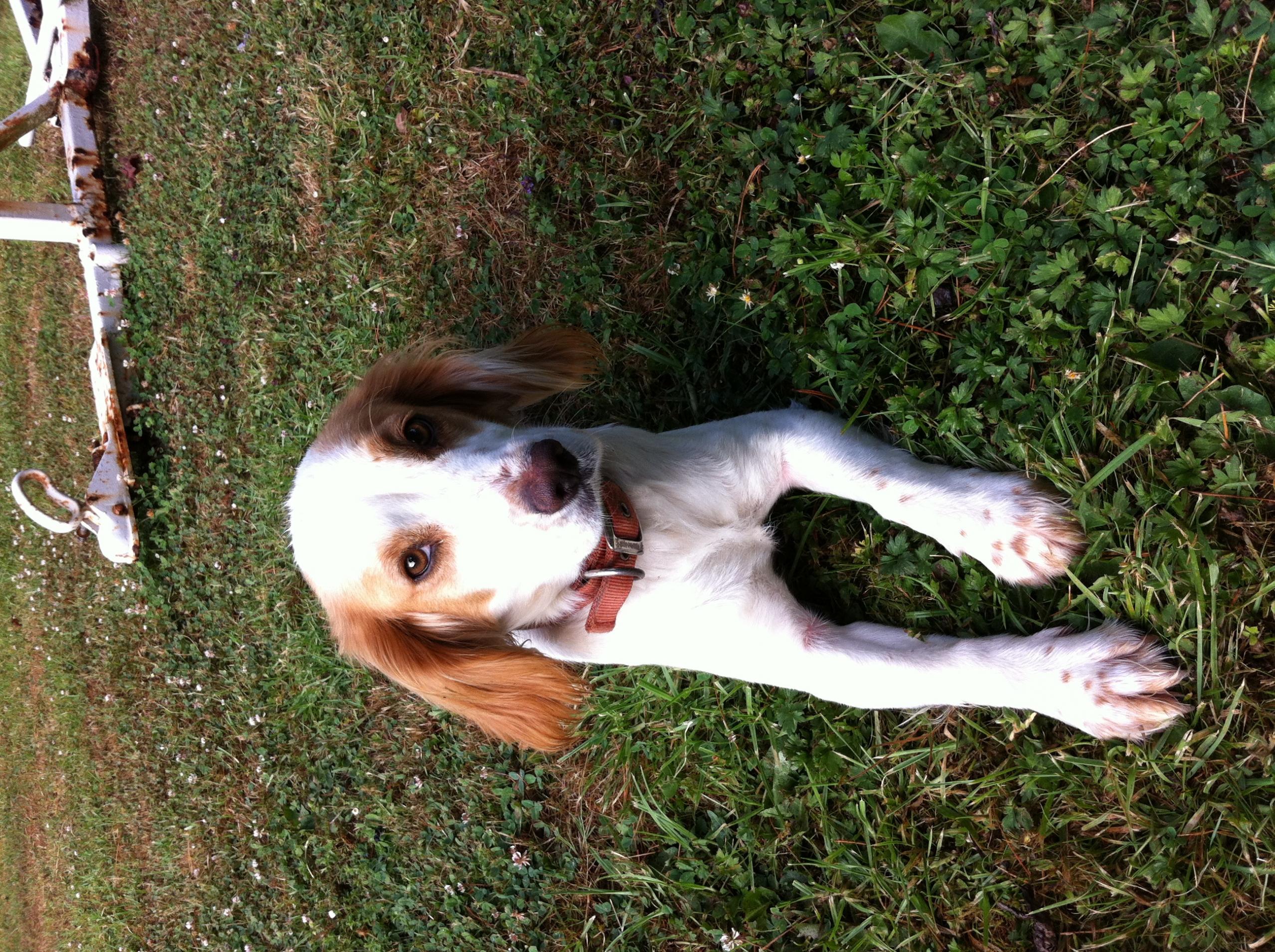 Name:  image.jpg
Views: 594
Size:  981.6 KB