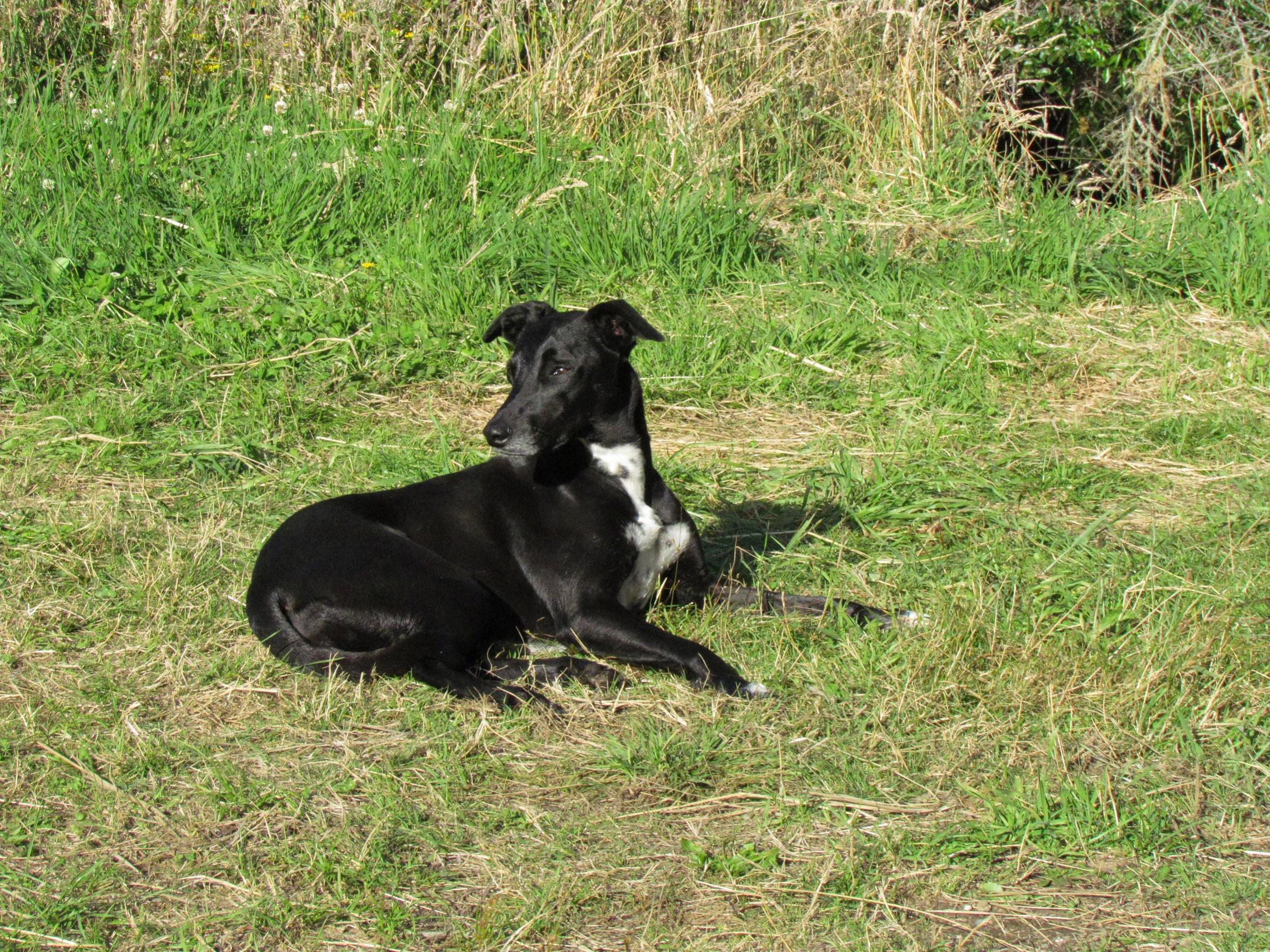 Name:  IMG_1207.jpg
Views: 468
Size:  925.7 KB