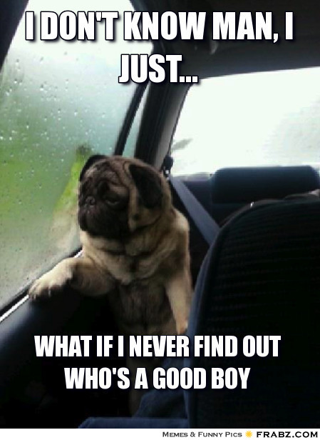 Name:  good boy.jpg
Views: 406
Size:  65.7 KB