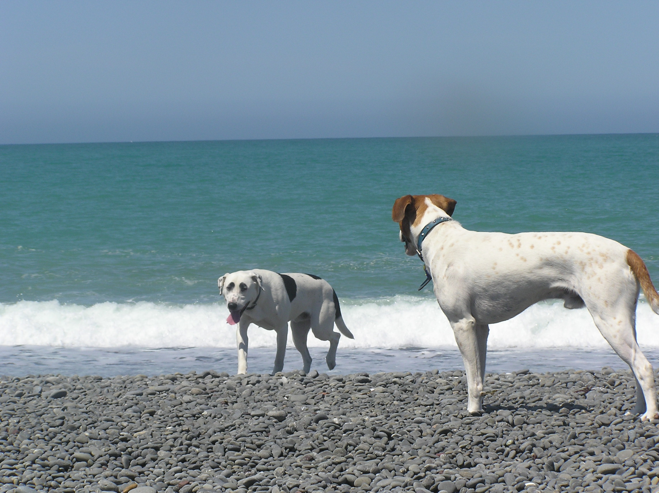 Name:  Picture 012.jpg
Views: 492
Size:  817.5 KB