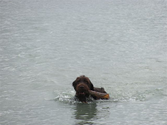 Name:  IMG_0187.JPG
Views: 354
Size:  45.5 KB