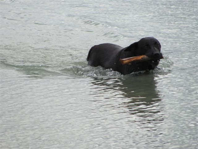 Name:  IMG_0198.JPG
Views: 326
Size:  60.1 KB