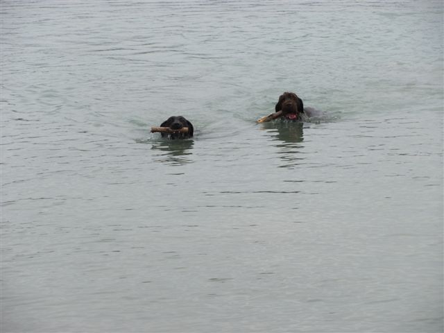 Name:  IMG_0193.JPG
Views: 294
Size:  39.6 KB