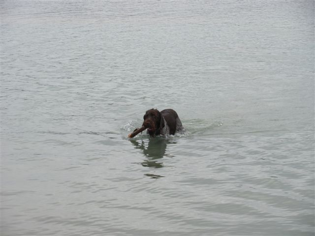 Name:  IMG_0191.JPG
Views: 307
Size:  43.7 KB