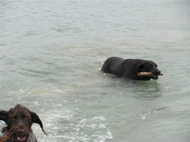 Name:  IMG_0194.JPG
Views: 284
Size:  40.2 KB