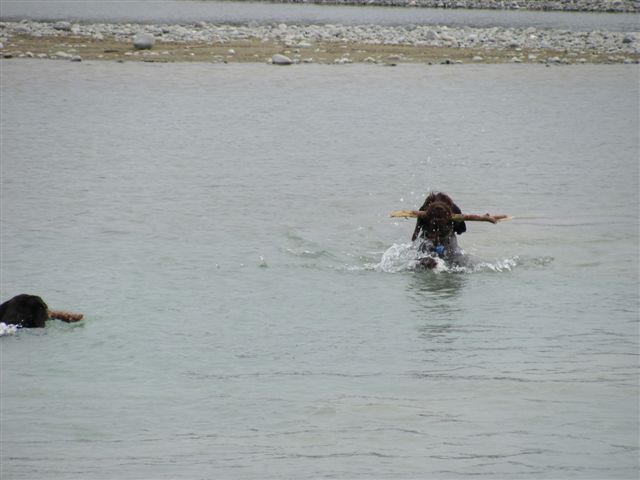 Name:  IMG_0208.JPG
Views: 272
Size:  41.2 KB