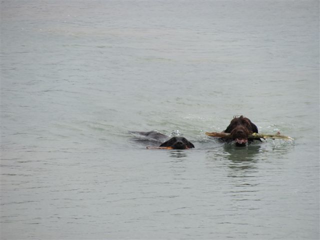 Name:  IMG_0210.JPG
Views: 263
Size:  35.1 KB