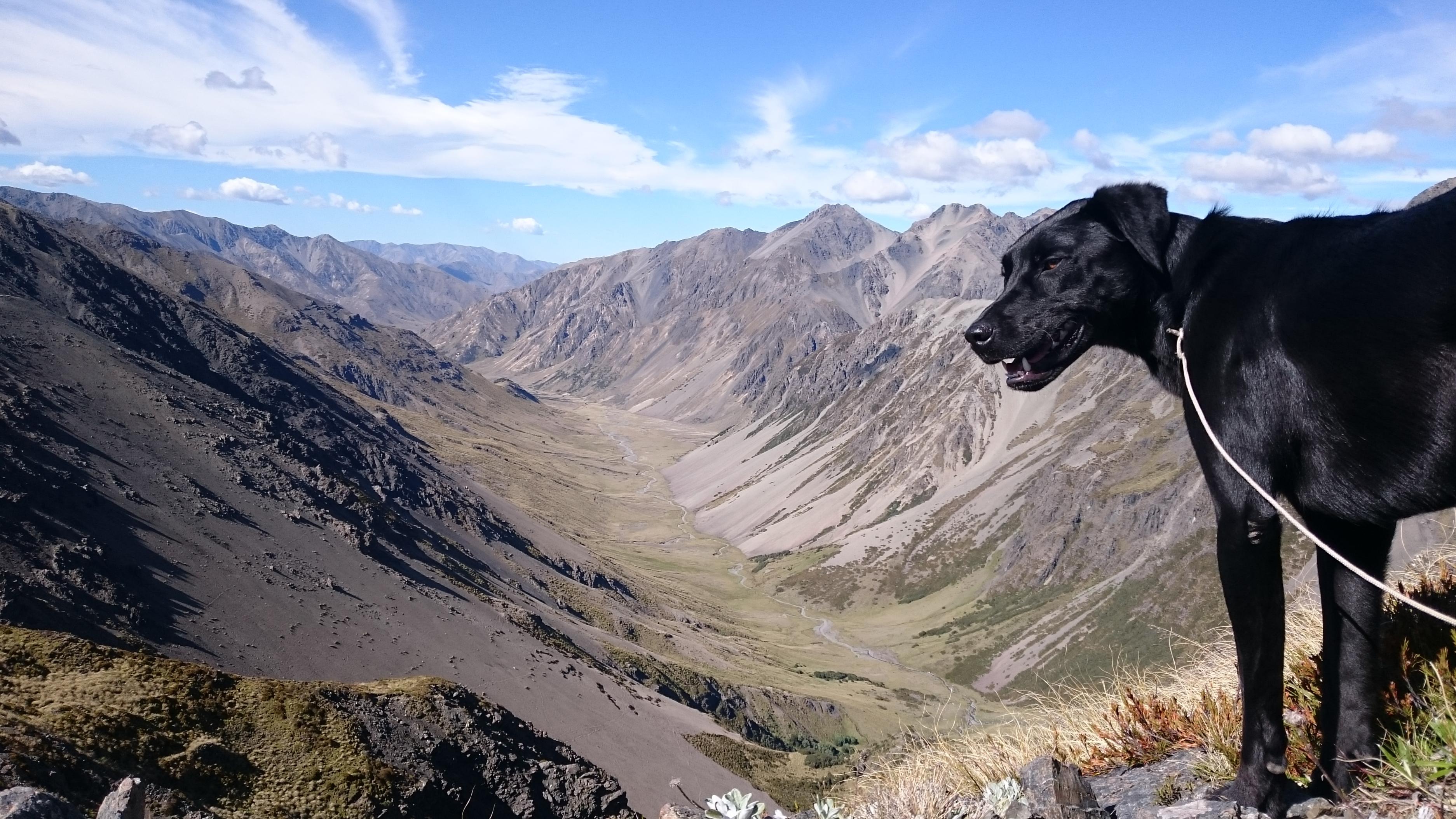 Name:  2017-01-15 09.58.08.jpg
Views: 360
Size:  1.06 MB