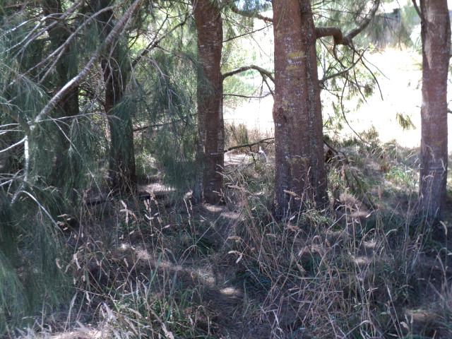 Name:  picture 1191.jpg
Views: 457
Size:  164.8 KB