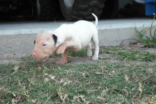 Name:  DSCF0680s.jpg
Views: 336
Size:  21.0 KB