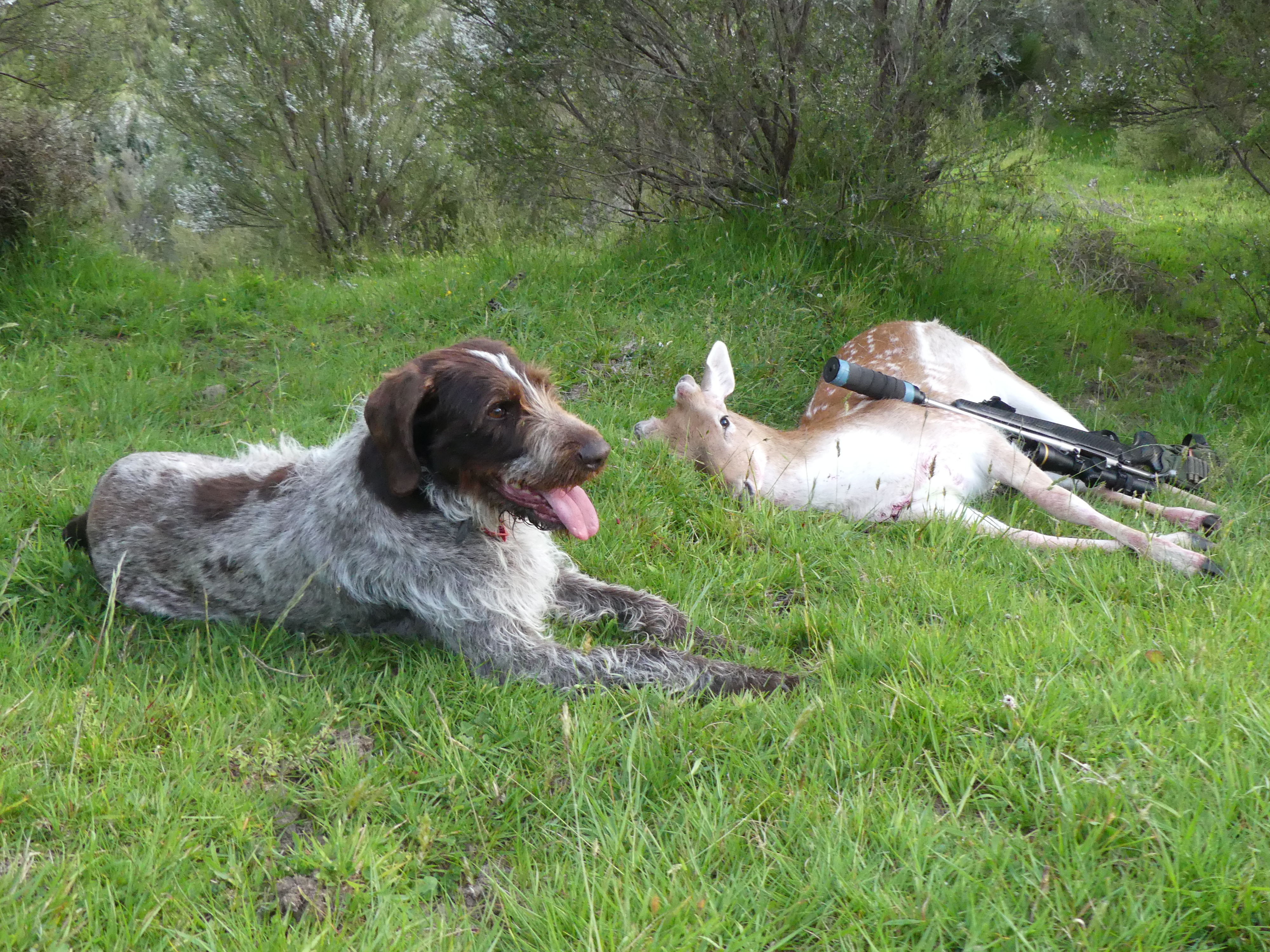 Name:  P1010004 2.JPG
Views: 440
Size:  6.18 MB