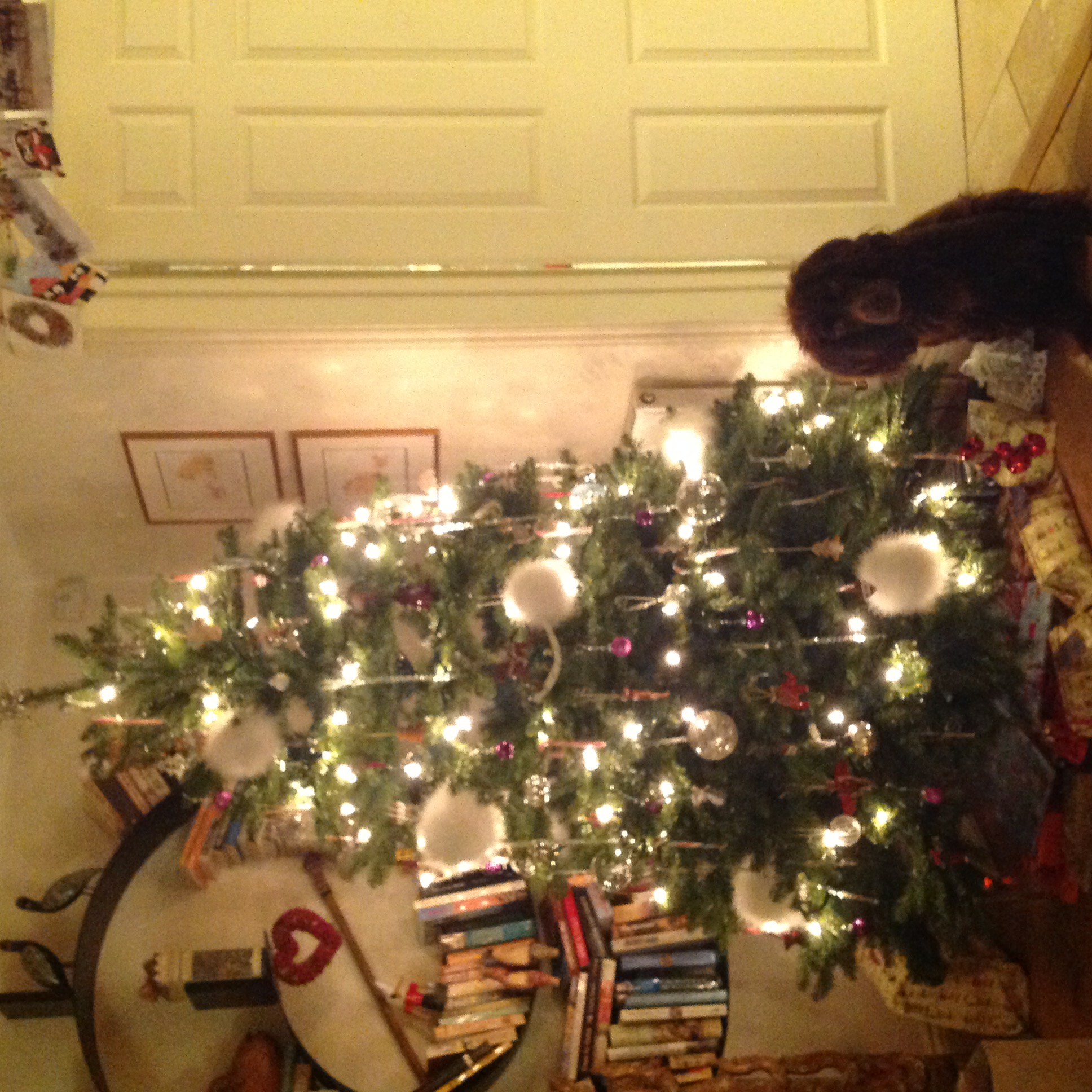 Name:  IMG_0092.JPG
Views: 344
Size:  789.8 KB