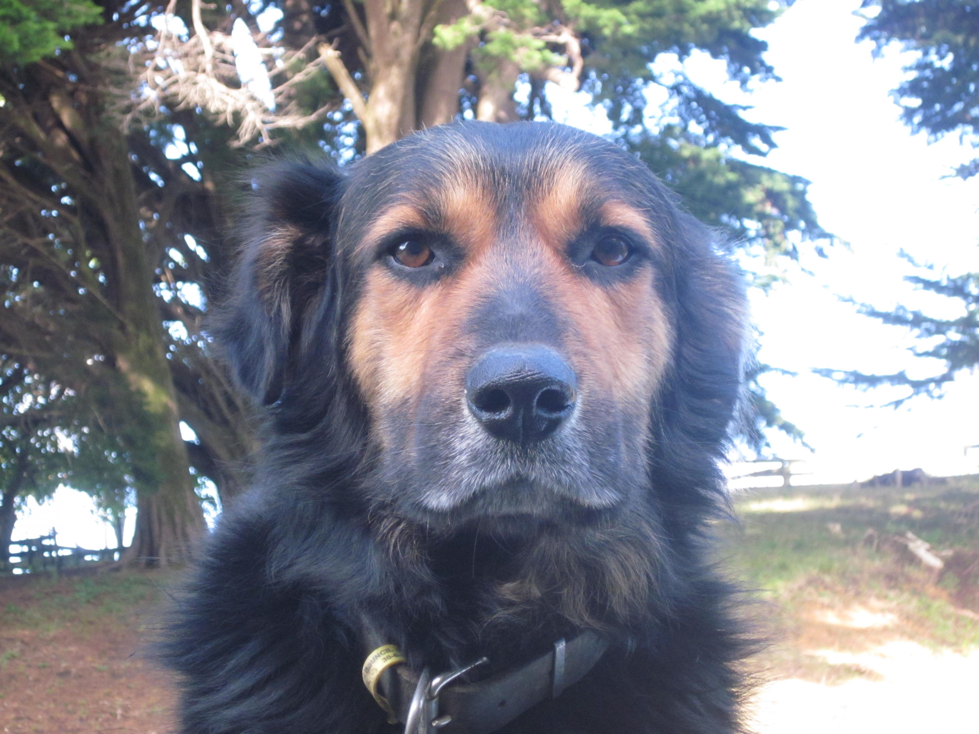 Name:  bruce..jpg
Views: 863
Size:  985.1 KB