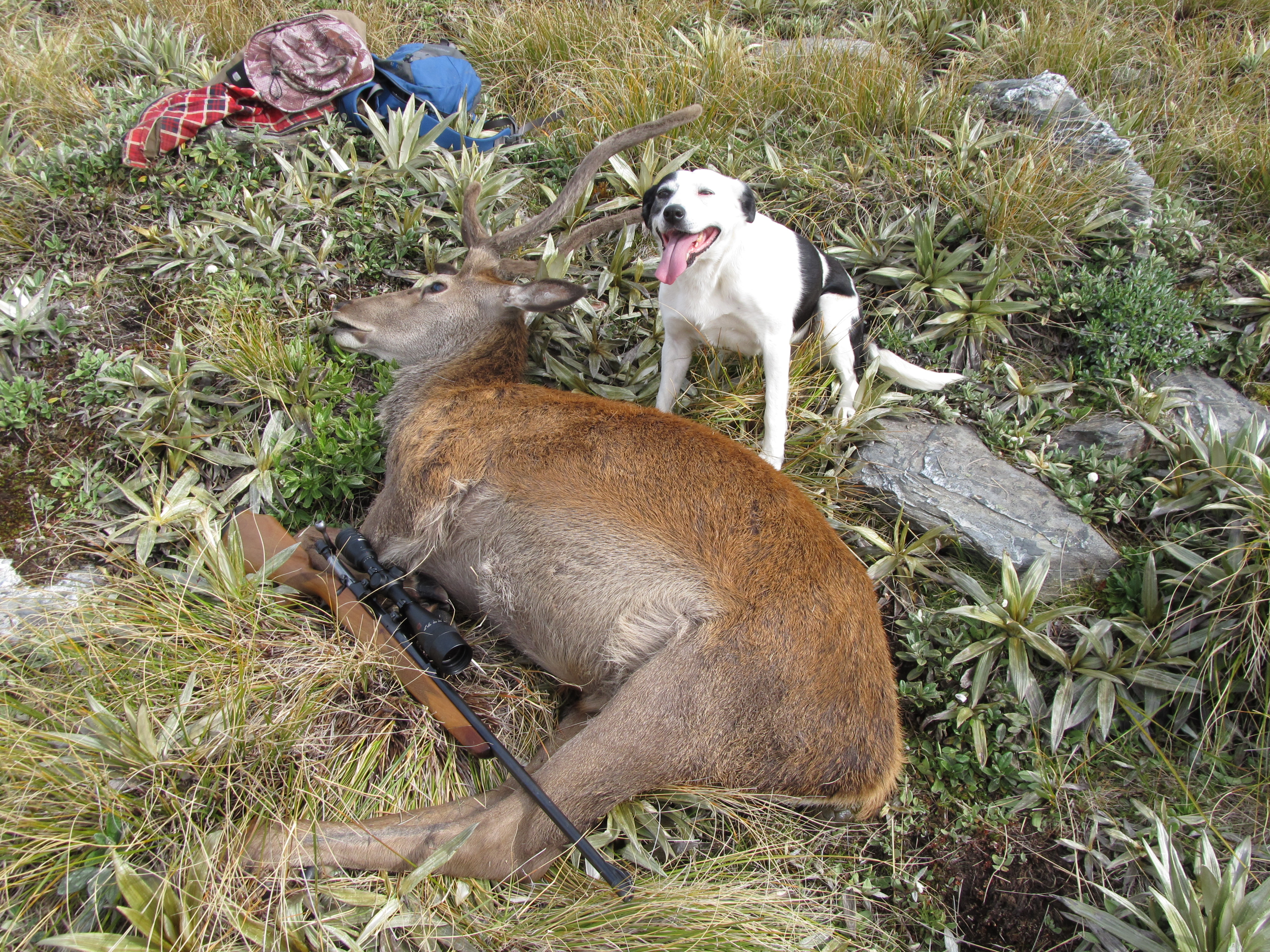 Name:  IMG_0984.JPG
Views: 330
Size:  5.16 MB