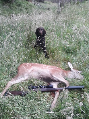 Name:  gus small deer 3.jpg
Views: 296
Size:  121.8 KB